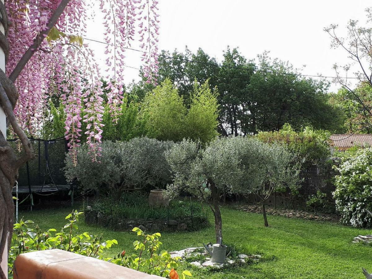 Chambre D'Hotes Le Cocon Saint-Genies-de-Malgoires Dış mekan fotoğraf